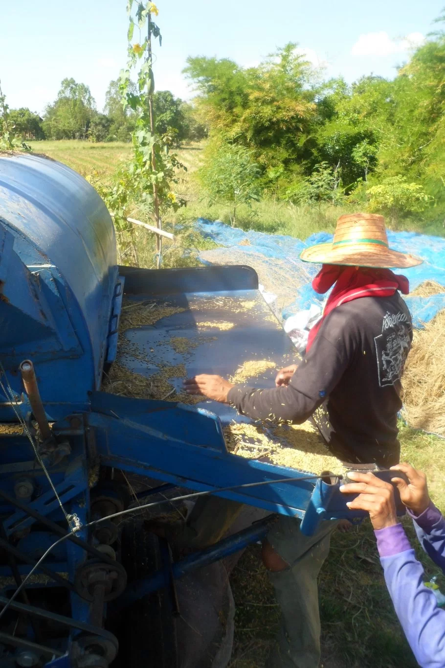 ttk, 02.12.15 012.webp