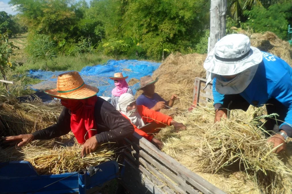 ttk, 02.12.15 018.webp