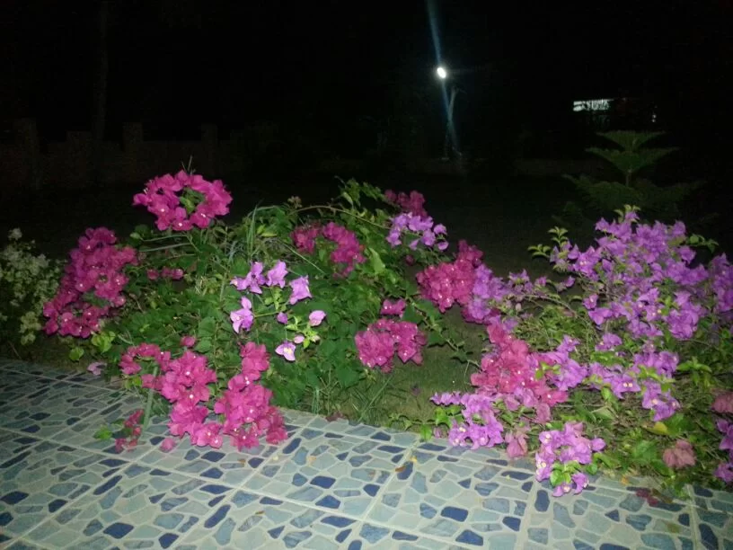 uploadfromtaptalk1354803607290.webp