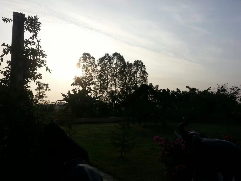uploadfromtaptalk1354925982058.webp