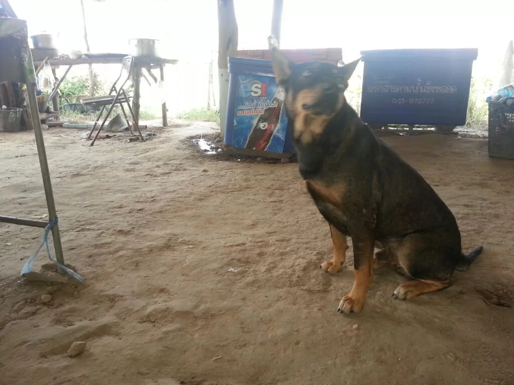 uploadfromtaptalk1355201052456.webp