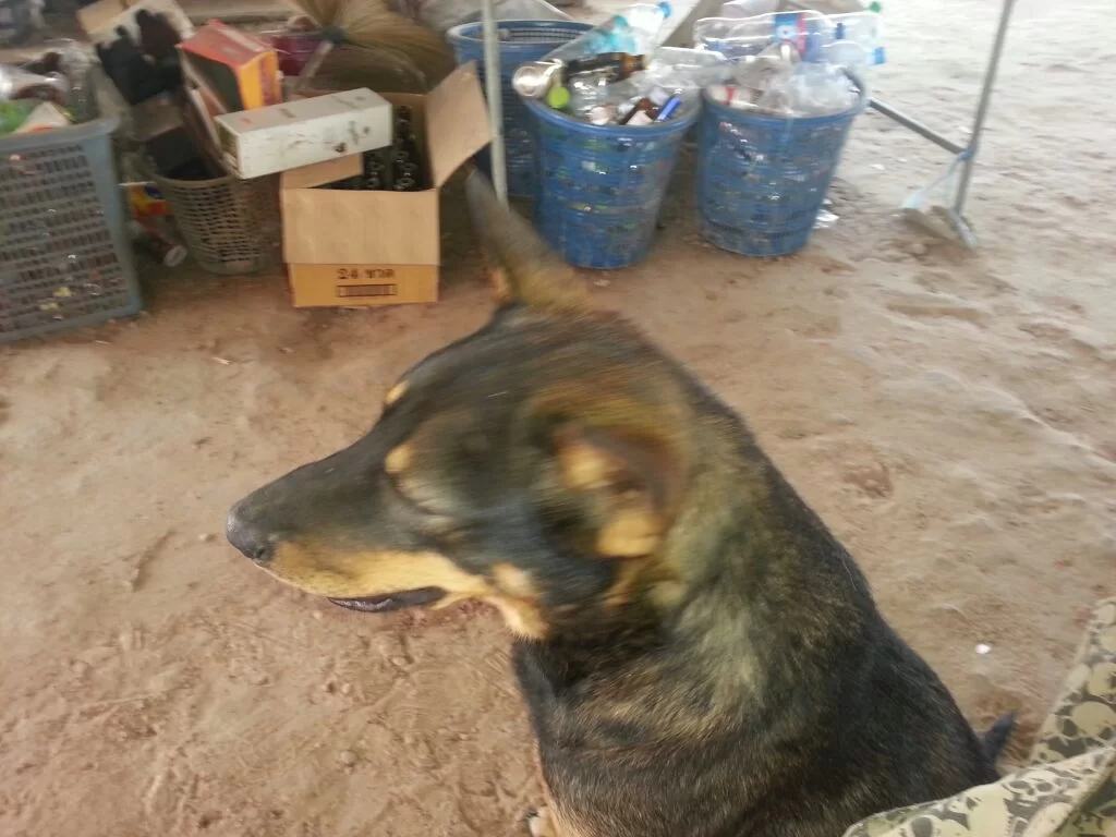 uploadfromtaptalk1355201085764.webp