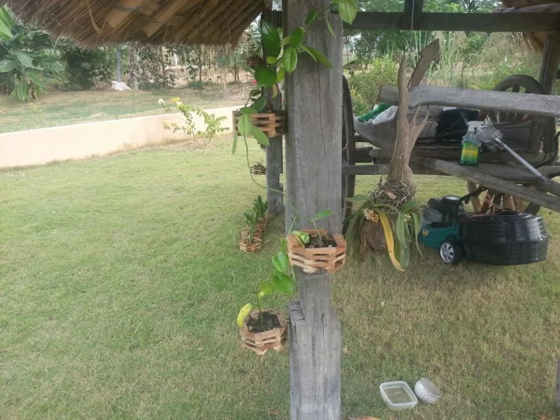uploadfromtaptalk1356165616178.webp