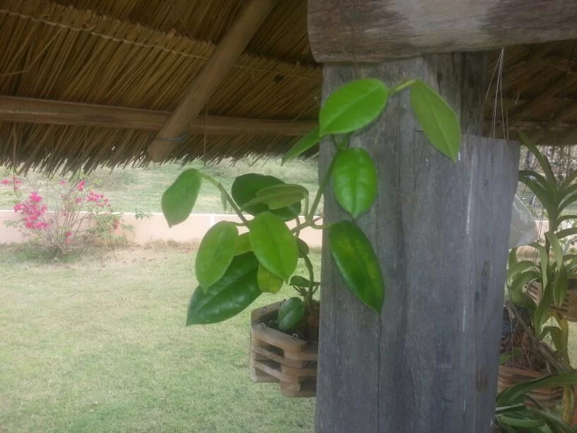 uploadfromtaptalk1356676317148.webp