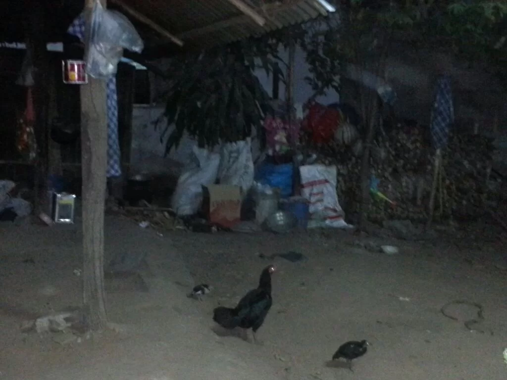 uploadfromtaptalk1356750923042.webp