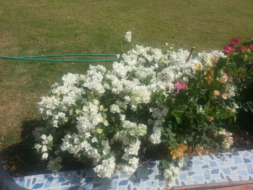 uploadfromtaptalk1356935044192.webp