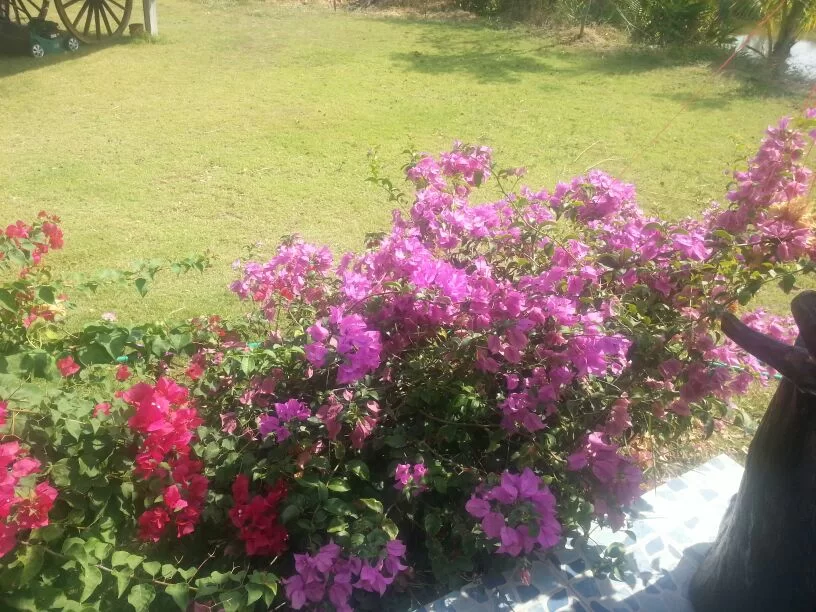 uploadfromtaptalk1356935081175.webp