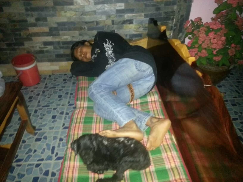 uploadfromtaptalk1357097267534.webp