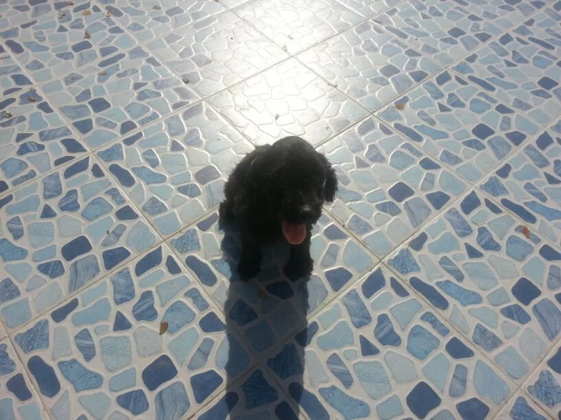 uploadfromtaptalk1357181980464.webp