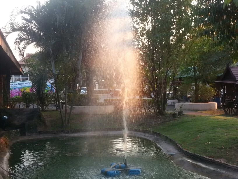 uploadfromtaptalk1358055056050.webp