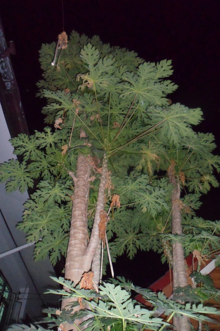 Vatten 006.JPG