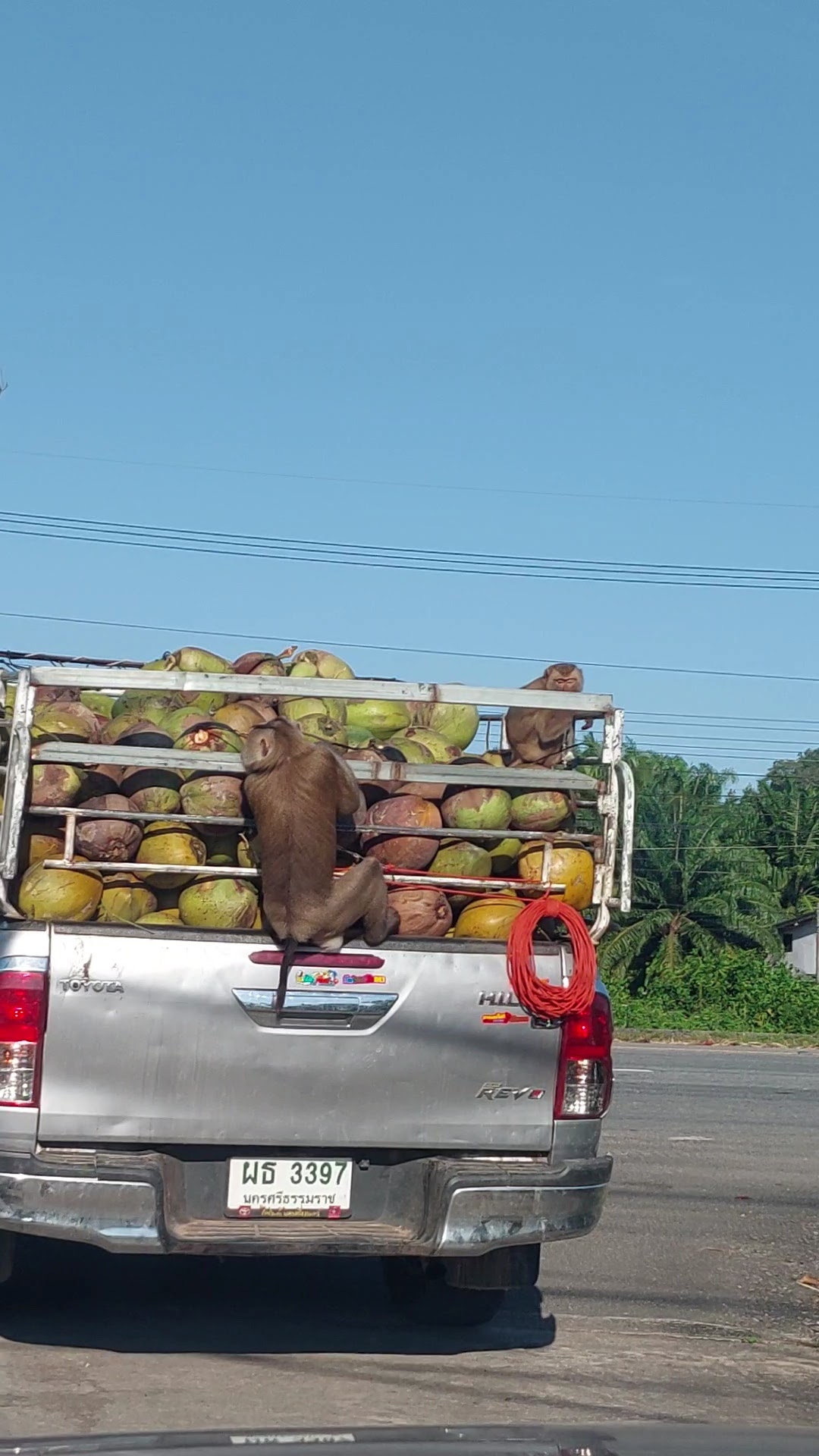 VideoCapture_20230217-201620.jpg