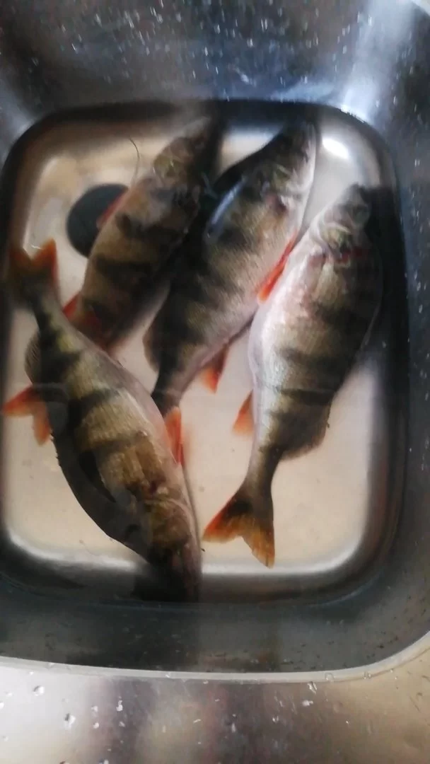 Videoframe_20230525_203416_com.huawei.himovie.overseas.webp