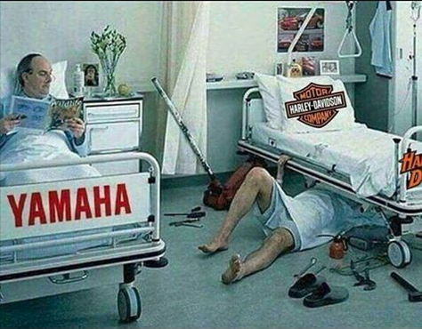yamaha_vs_harley.png