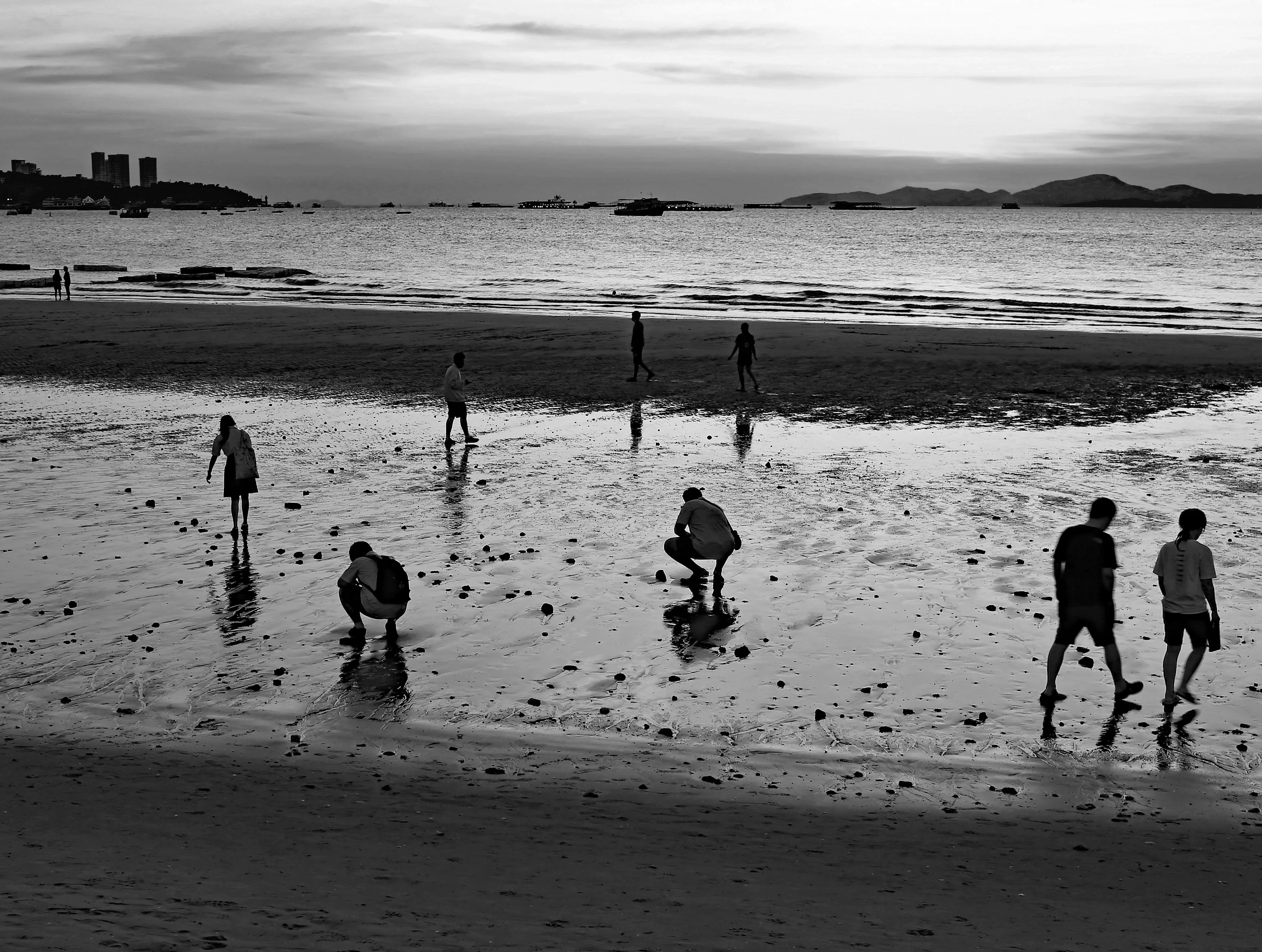 Z18C2461 copy ahr 3 bw.webp