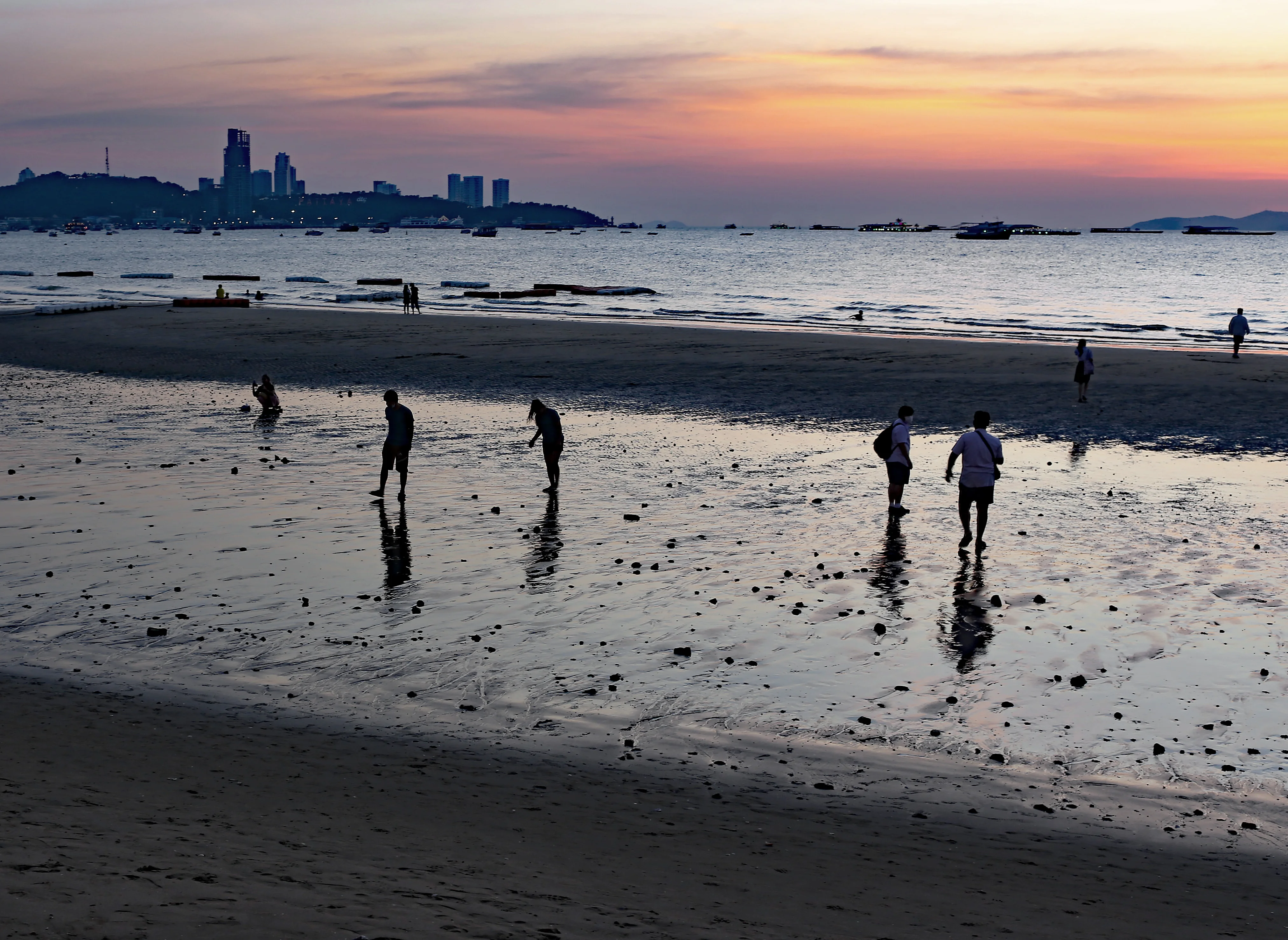 Z18C2464 copy 2 ahr.webp