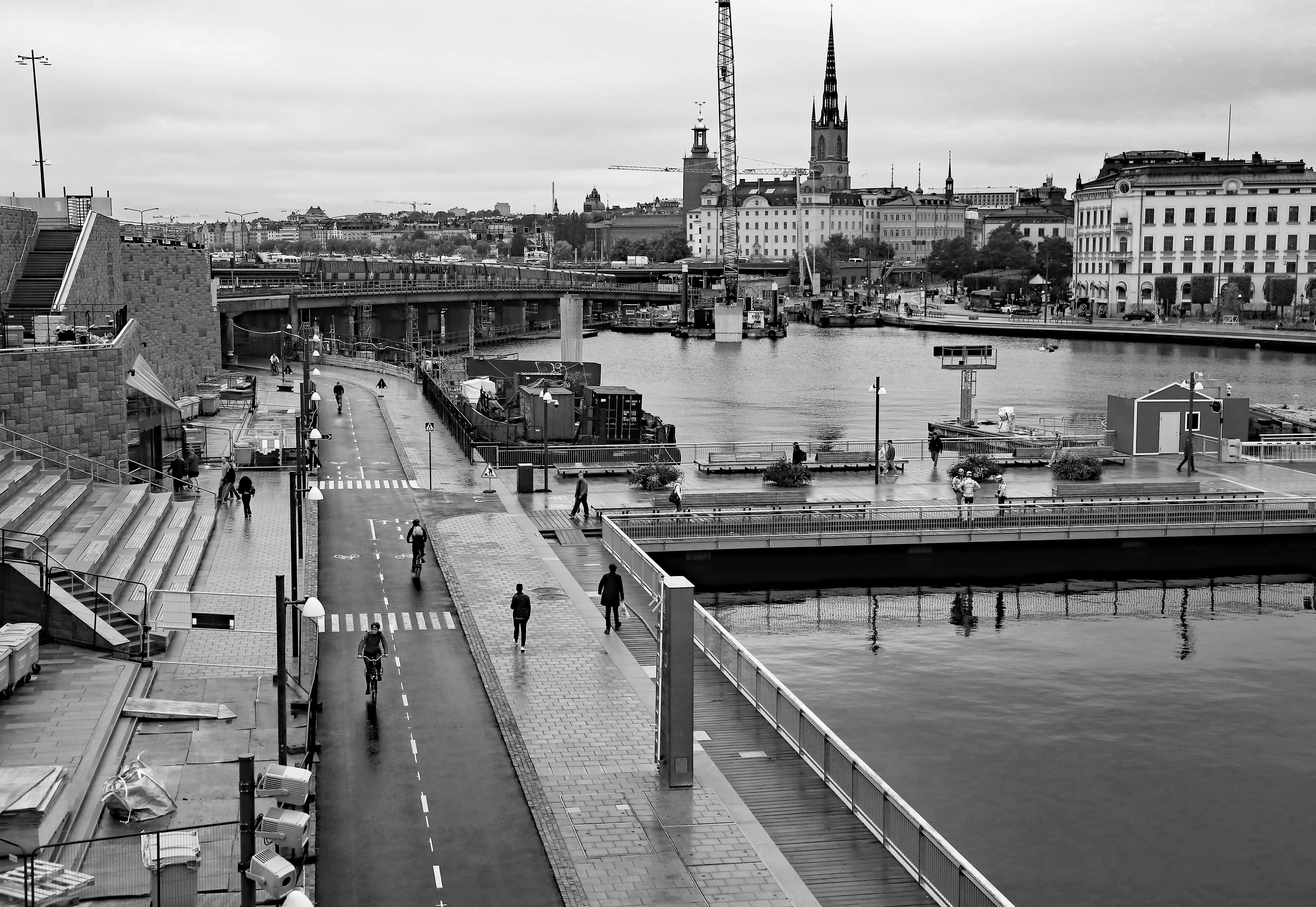 Z18C9184 copy ahr bw.webp