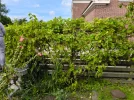 IMG_20250811_154021.webp